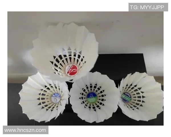 深圳羽毛球队的灵活性揭秘：从训练到比赛的全方位解析与展望