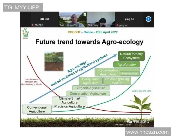 青年赛分析:IG团队协作的亮眼表现与未来潜力探讨 青年赛分析:IG团队协作的亮眼表现与未来潜力探讨